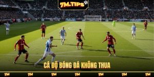 Cá độ bóng đá không thua