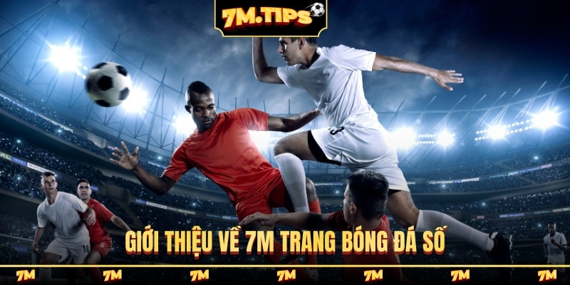Giới thiệu về 7M trang bóng đá số